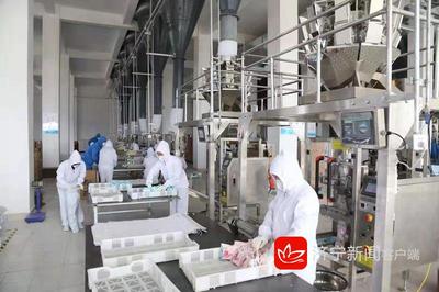 2019年濟(jì)寧市新舊動(dòng)能轉(zhuǎn)換現(xiàn)場觀摩團(tuán)走進(jìn)嘉祥